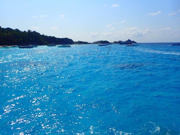 胡锡进 :今天跌10444元,总亏损达71024元